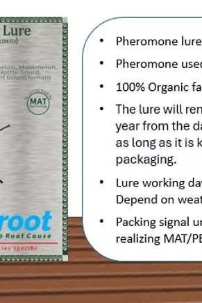 FARM MELON LURE WITH MINI LOCK