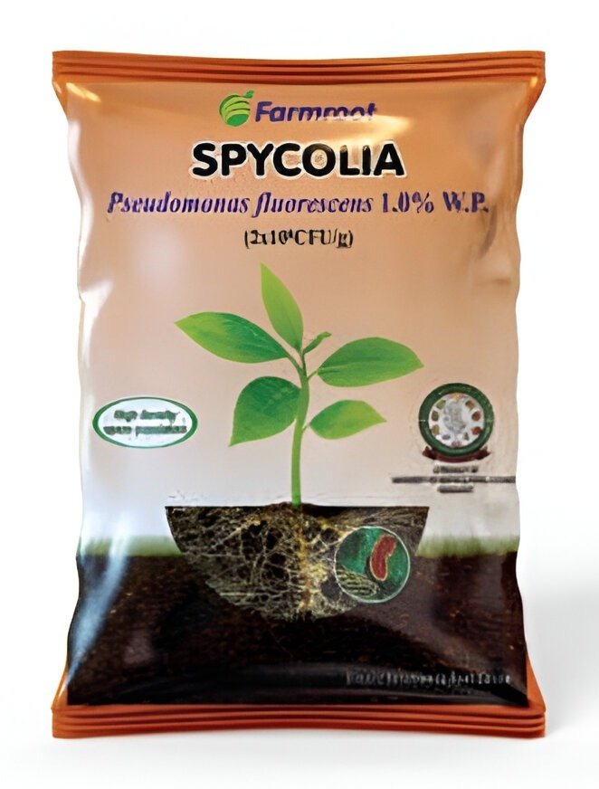 SPYCOLIA (Pseudomonas fluorescens 1.0 % WP)