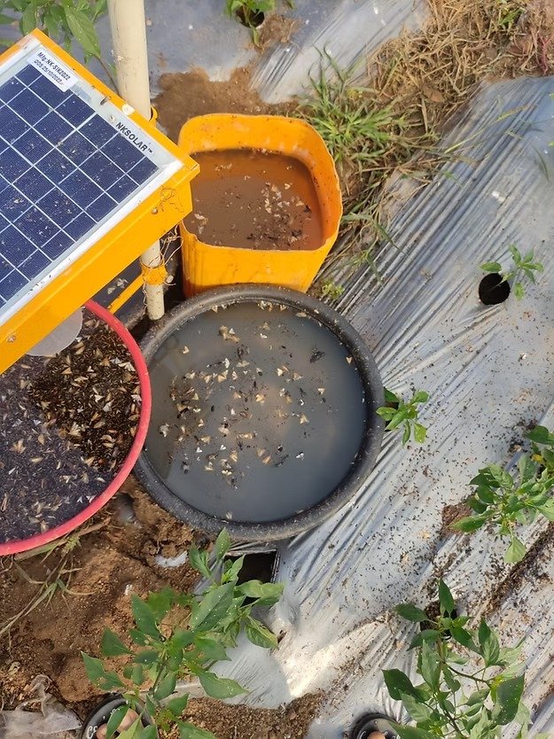 Farm Solar Insect  Trap