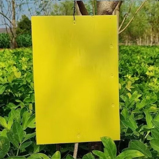 Farm Yellow Sticky Trap