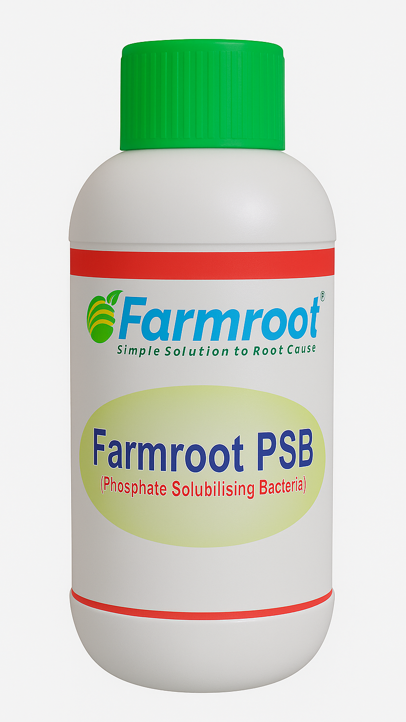 Farmroot Phosporus Solubilising Bacteria(PSB)