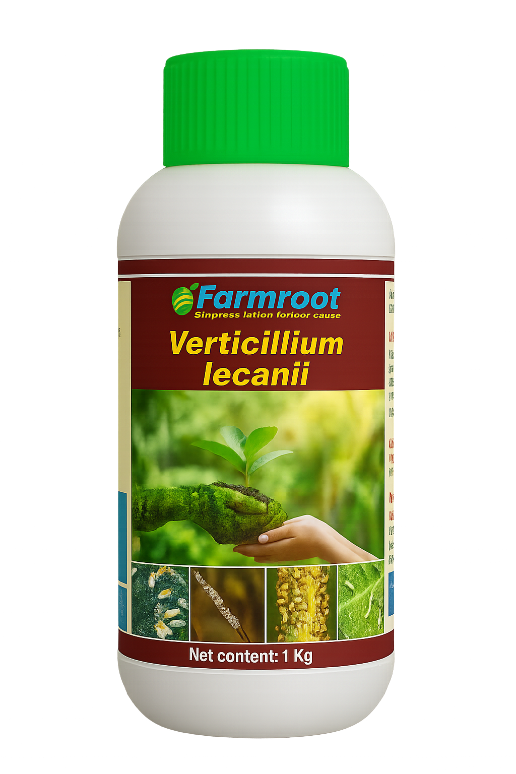 Farm Verticillium lecani