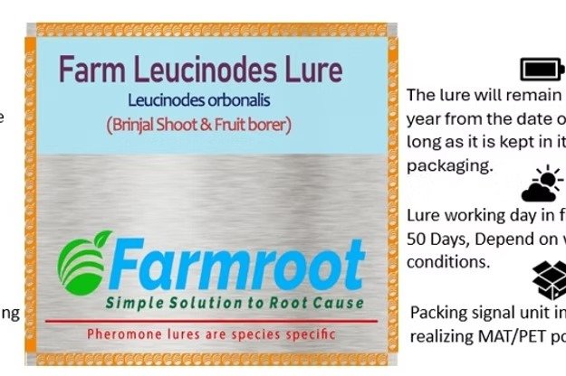 Farm Leucinode (Brinjal)Lure