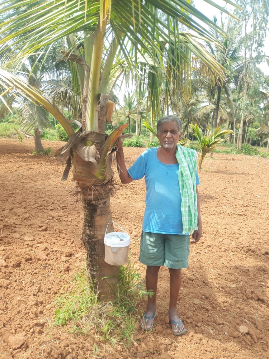 Farm RPW(Red palm weevil) Lure