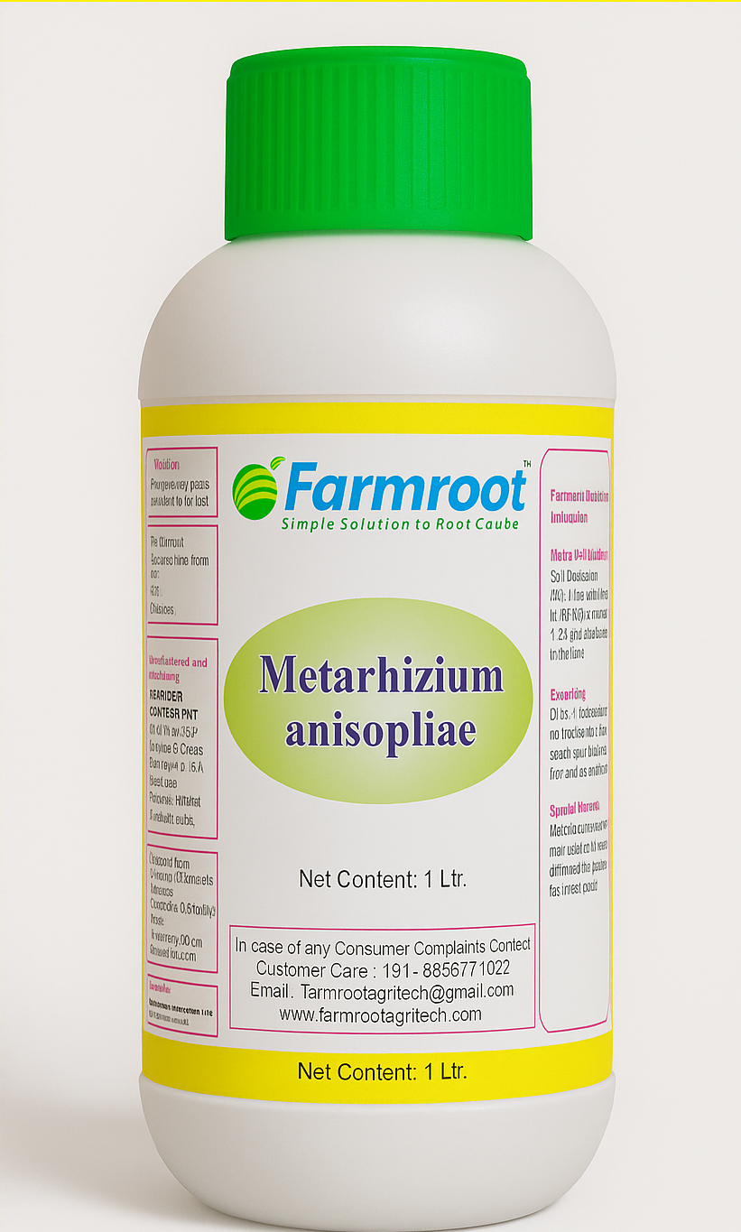 Farm Metarhizium anisopliae